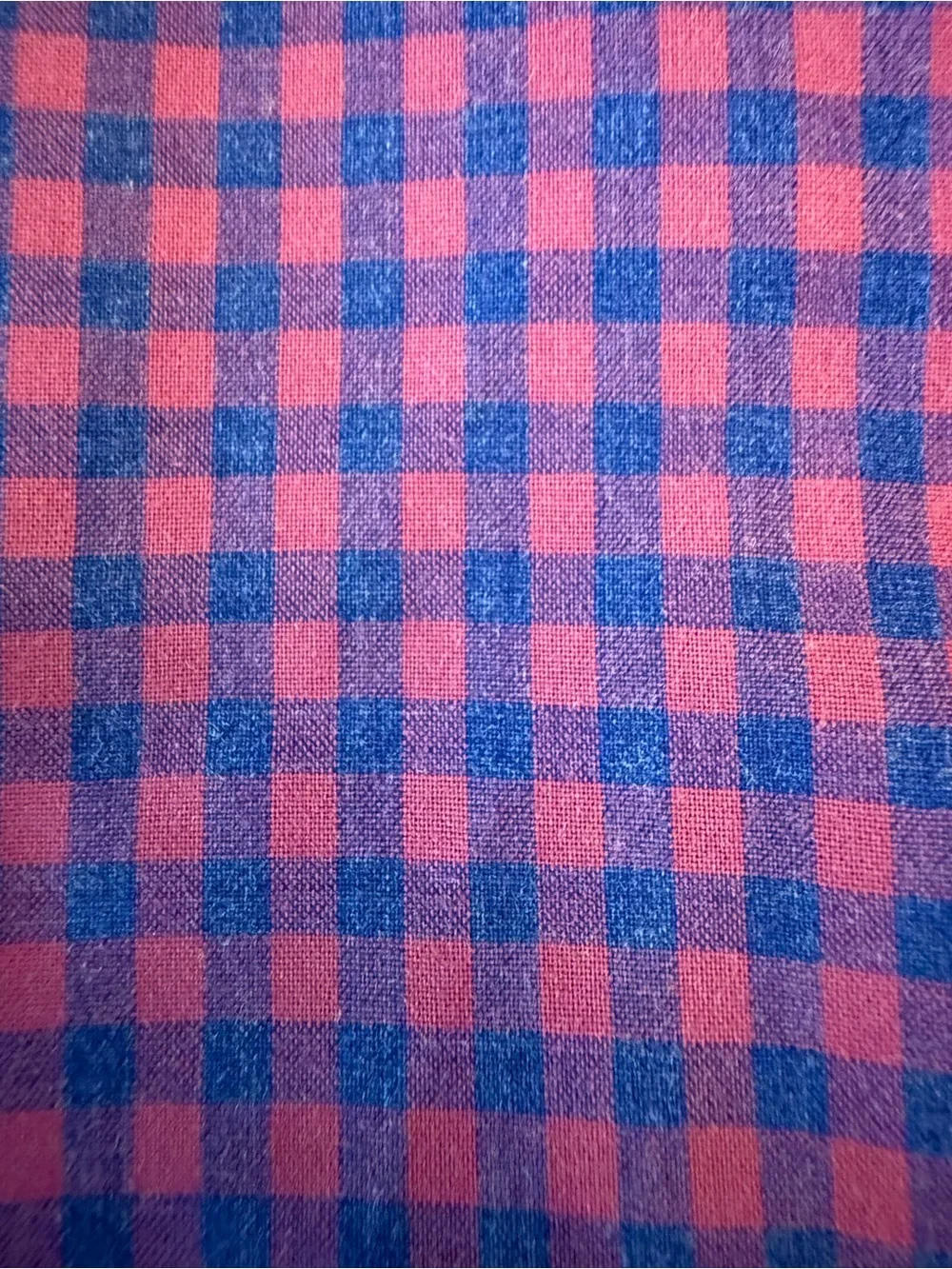 J. Crew Men's Red and Blue Gingham Button-Down Shirt